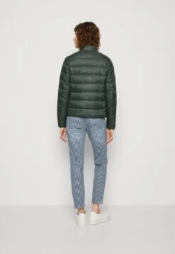 Marc O'Polo OUTDOOR JACKETS - Übergangsjacke - Pine Forest -Marc OPolo Geschaft 1be16866224c48cd8e8a73912e77b064