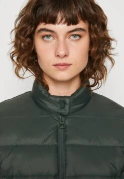 Marc O'Polo OUTDOOR JACKETS - Übergangsjacke - Pine Forest -Marc OPolo Geschaft aa0aabccd16f464da5041fc7953f1e4f